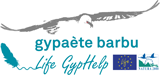 Gypaète Barbu - Life Gyphelp